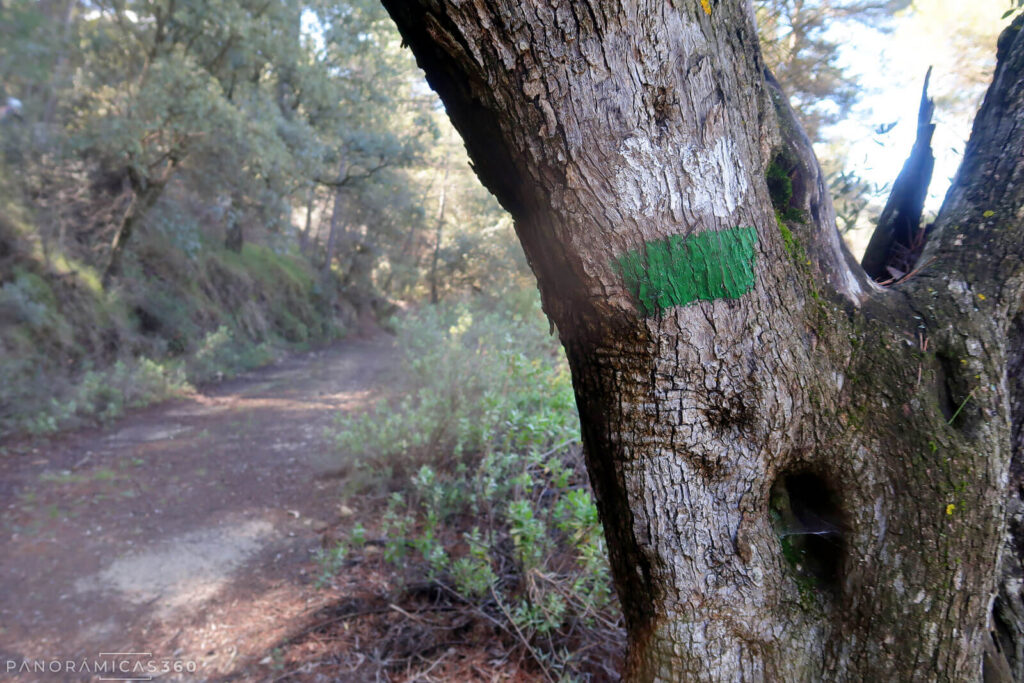 Sendero Local (SL)