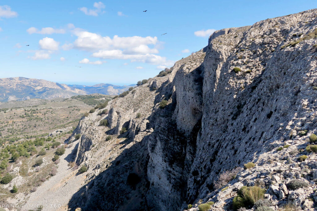 Buitres sobrevuelan la Moleta de Aitana