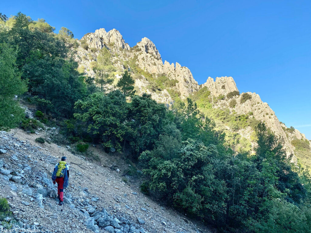 Senda de acceso a la arista noroeste del Puig Campana. La cresta se ve detrás