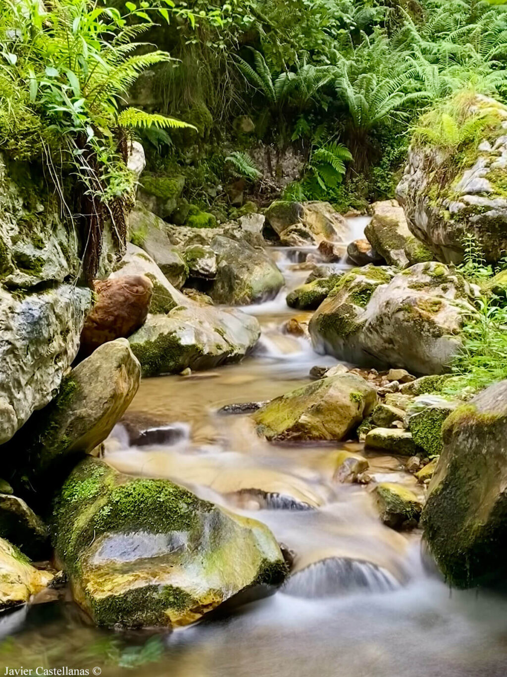 Riega de Miñances o de la Dehesa