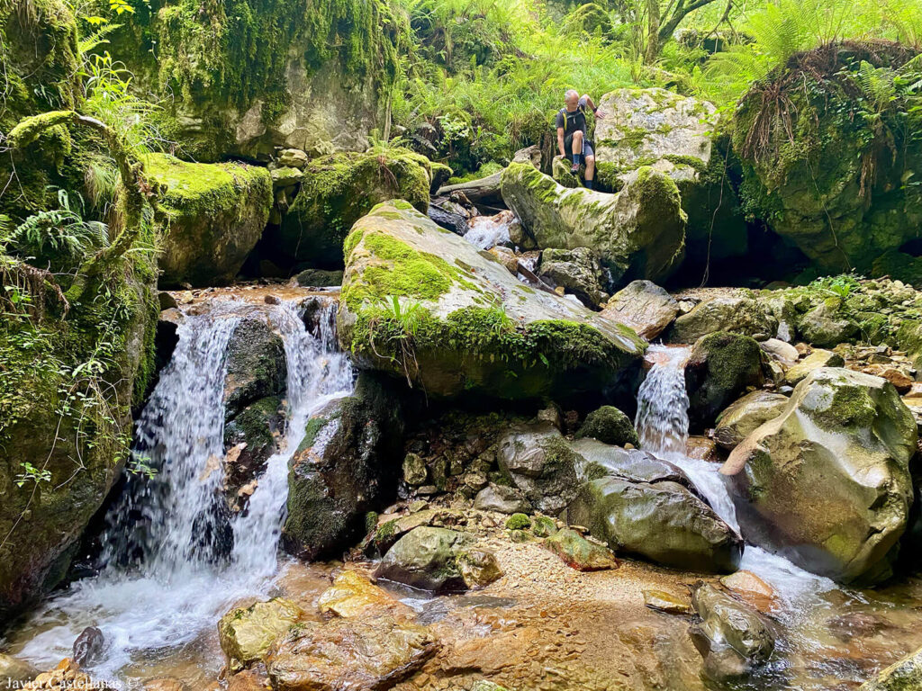 Bajando por Riega de Miñances o de la Dehesa