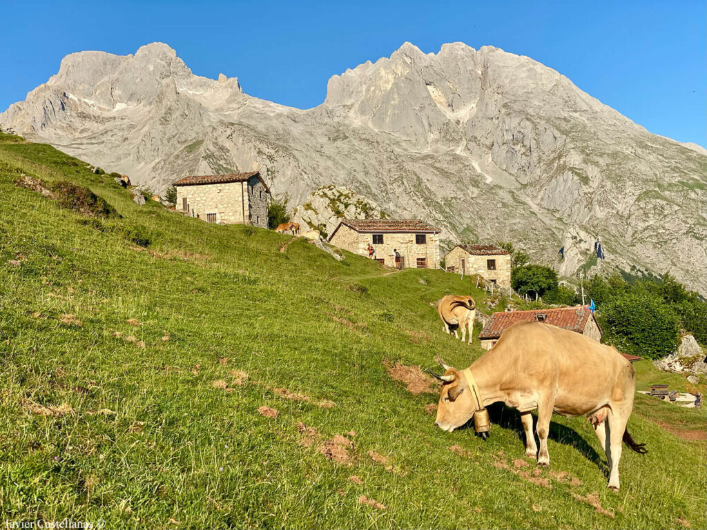 Majada de la Tenerosa