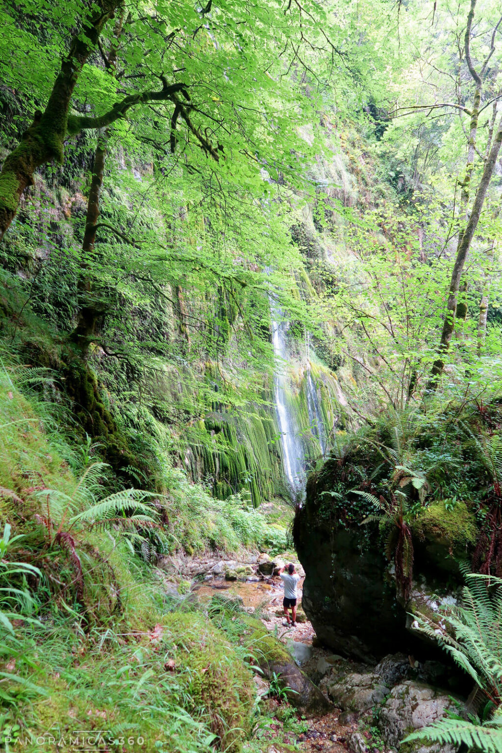 De pronto, la cascada aparece entre la vegetación