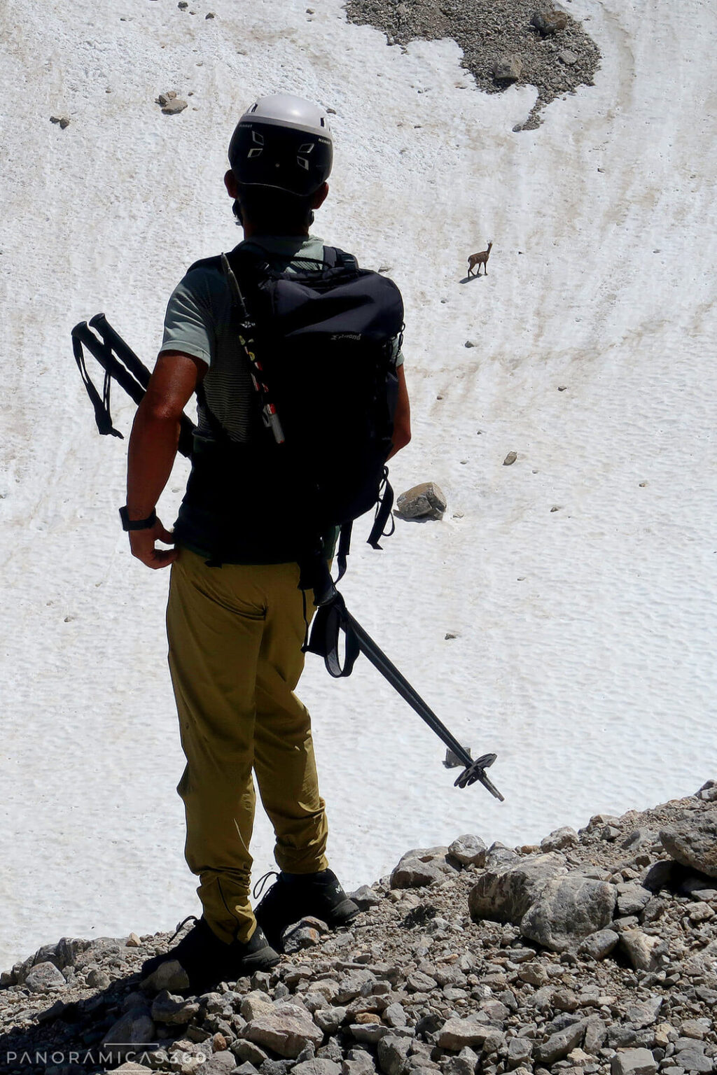 Javi observa un rebeco en el nevero