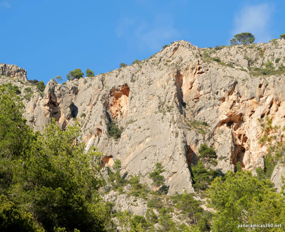 Pared de las Agujas (Cabeçó d'Or)