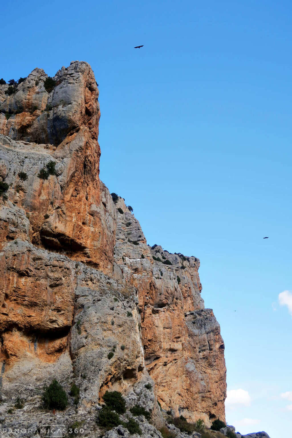 Buitres sobrevolando las paredes calizas