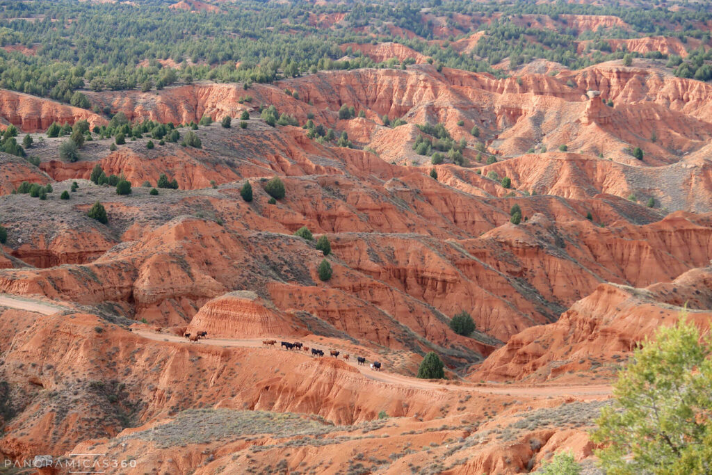 Cañón Rojo de Teruel